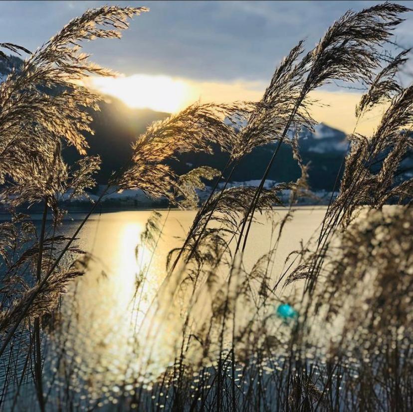 Wolfgangsee Seeblickplatzl 220 - Mit Tollem Seeblick! Strobl Buitenkant foto